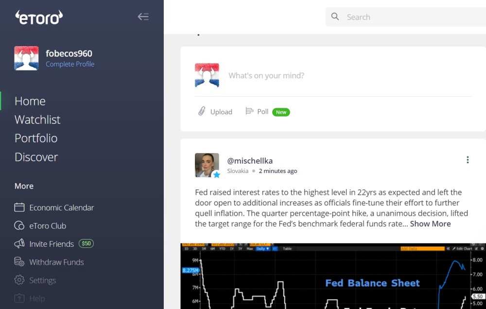 eToro account with Netherlands flag profile picture